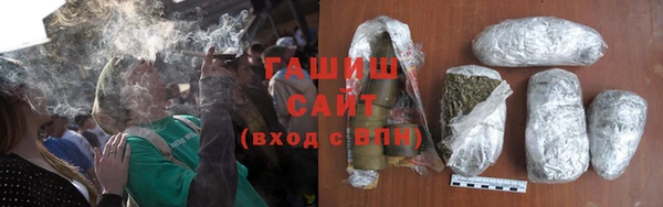 индика Дмитров
