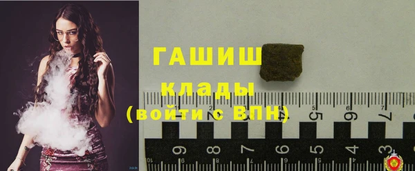 индика Дмитров