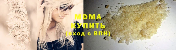 индика Дмитров