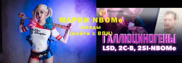 индика Дмитров