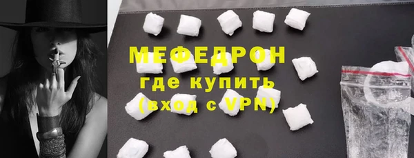 индика Дмитров