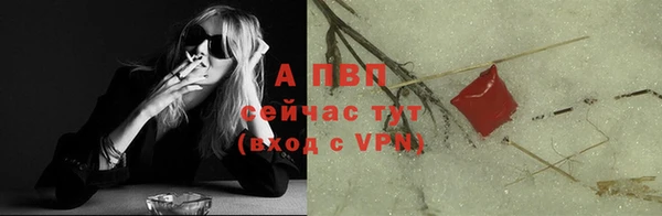индика Дмитров
