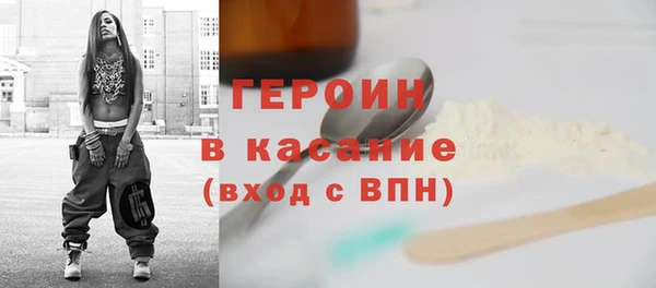 индика Дмитров
