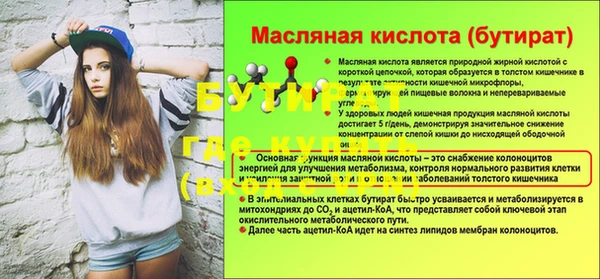 индика Дмитров