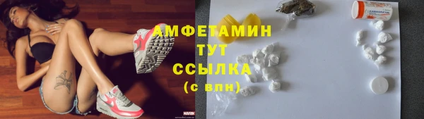 индика Дмитров
