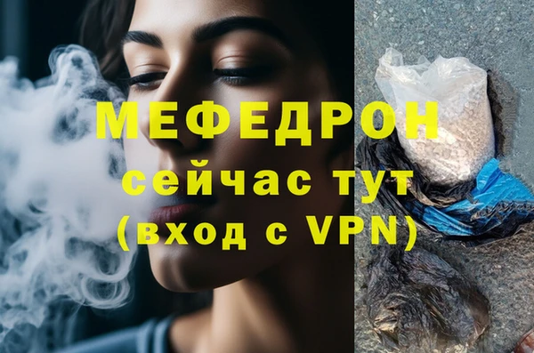 индика Дмитров