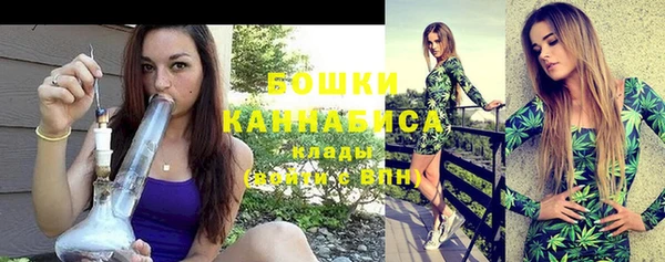 индика Дмитров