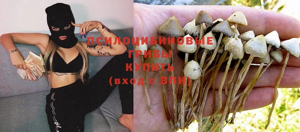 наркотики Дмитриев