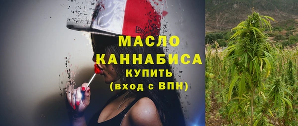 индика Дмитров