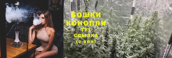 индика Дмитров