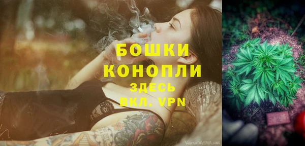 индика Дмитров