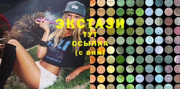 индика Дмитров